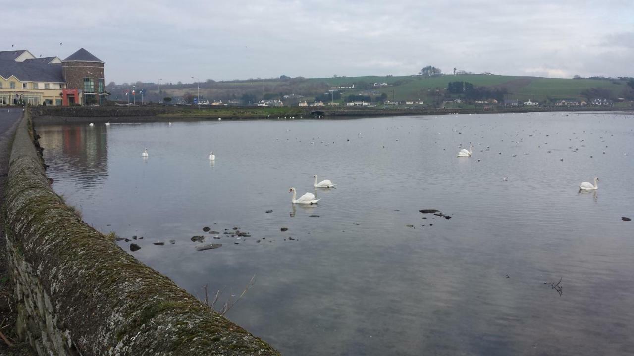 Lake View, Rosscarbery Hotel Bagian luar foto